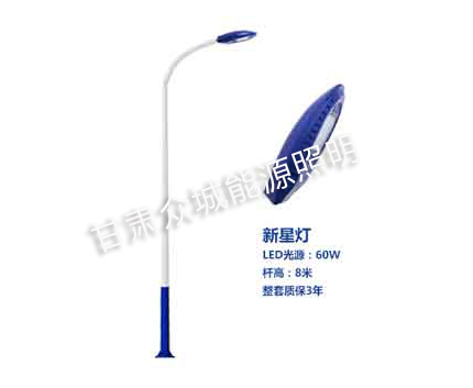 白碱滩爆款市电路灯